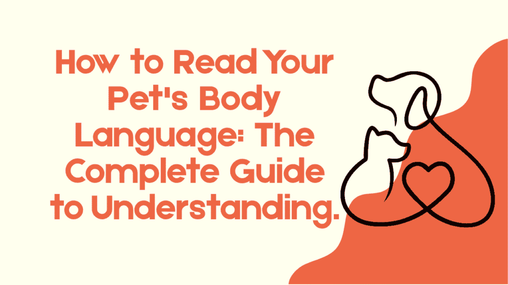 Pet's Body Language