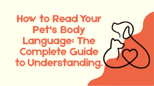 Pet's Body Language