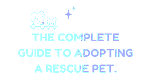 Rescue Pet