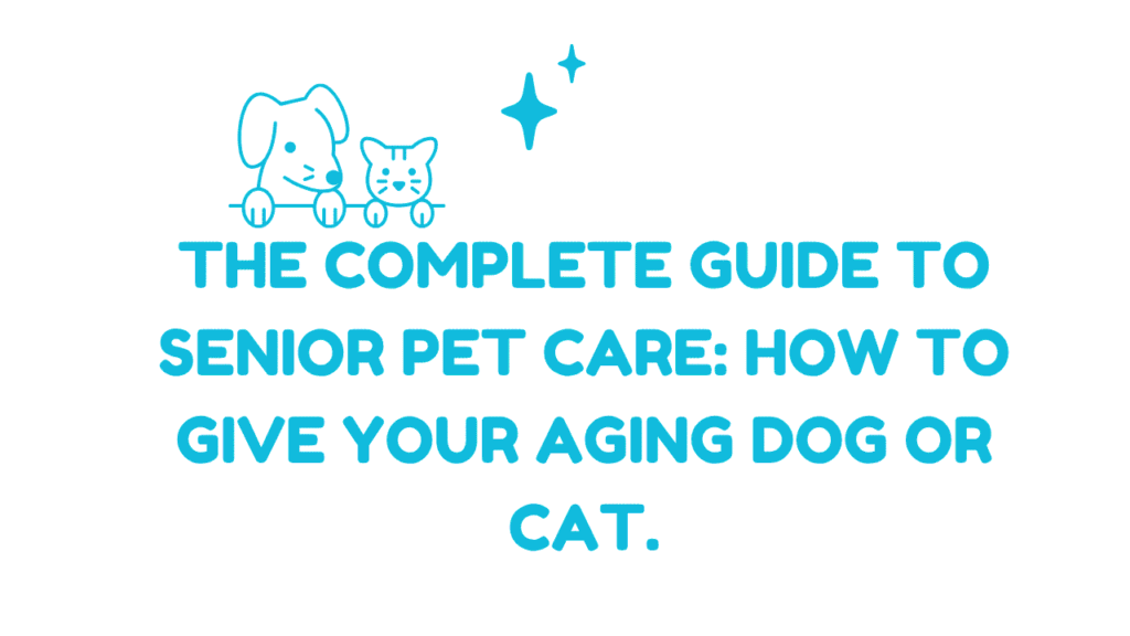 Senior Pet Care