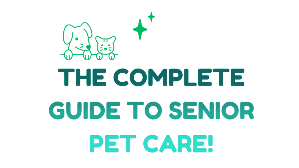 Senior Pet Care