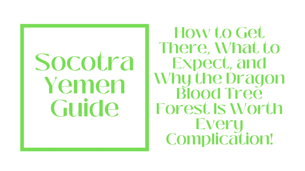 Socotra Yemen Guide