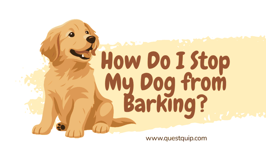Stop My Dog from Barking