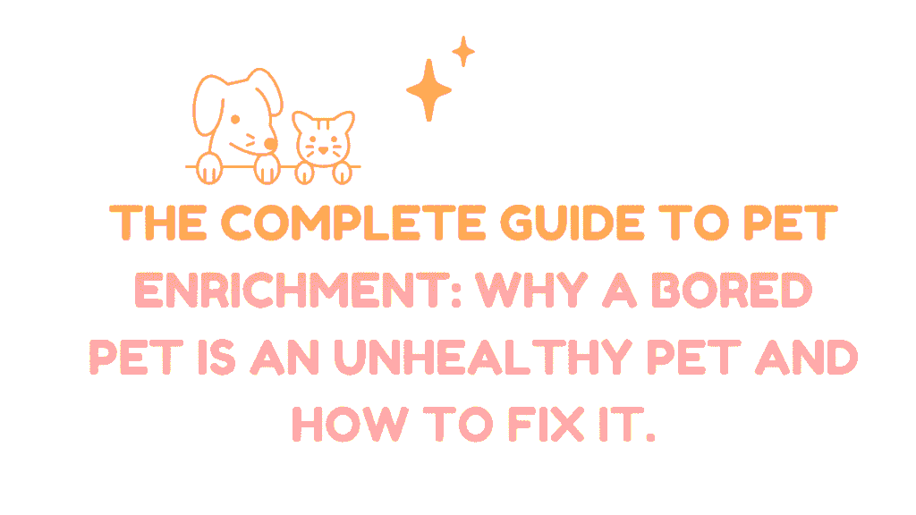 The Complete Guide to Pet Enrichment