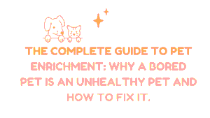 The Complete Guide to Pet Enrichment