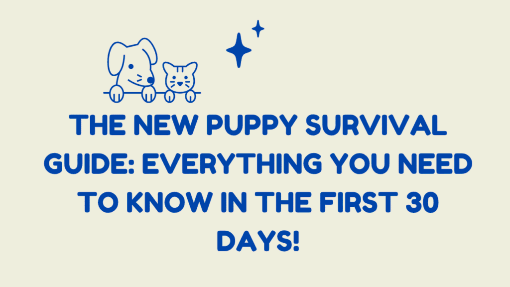 The New Puppy Survival Guide