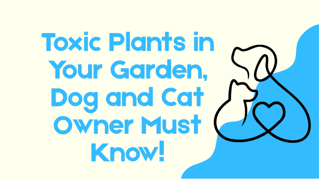 Toxic Plants in Your Garden