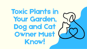 Toxic Plants in Your Garden