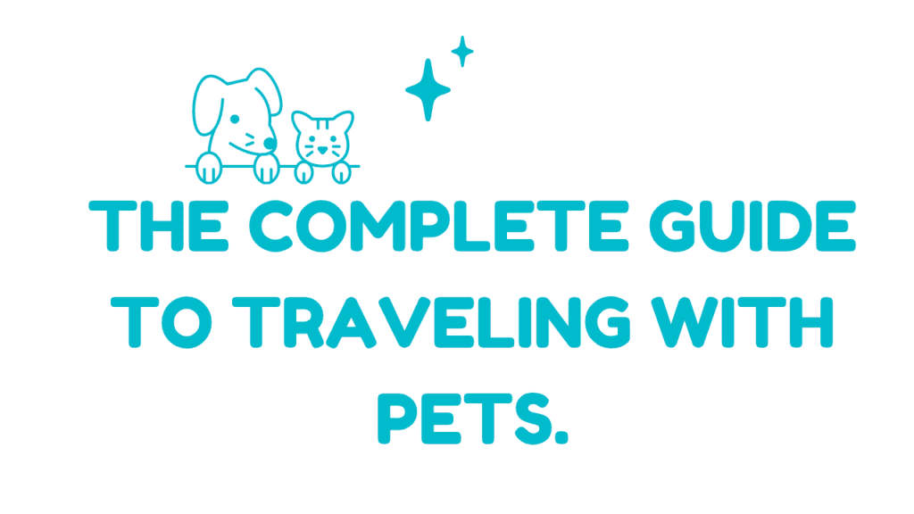 Traveling With Pets