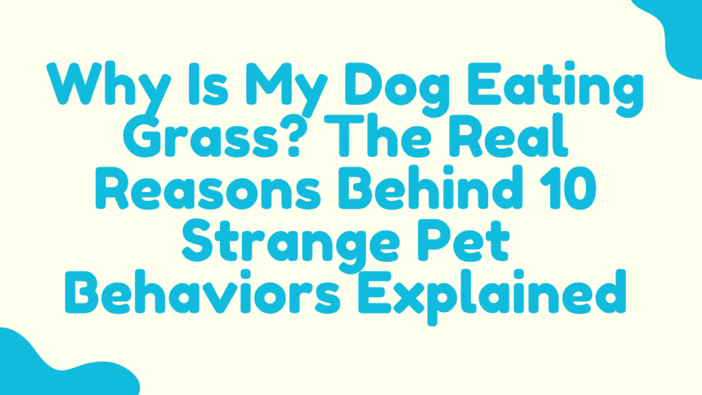 Dog Eating Grass