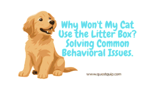 Why Won't My Cat Use the Litter Box? Solving Common Behavioral Issues 48 Why Won't My Cat Use the Litter Box
