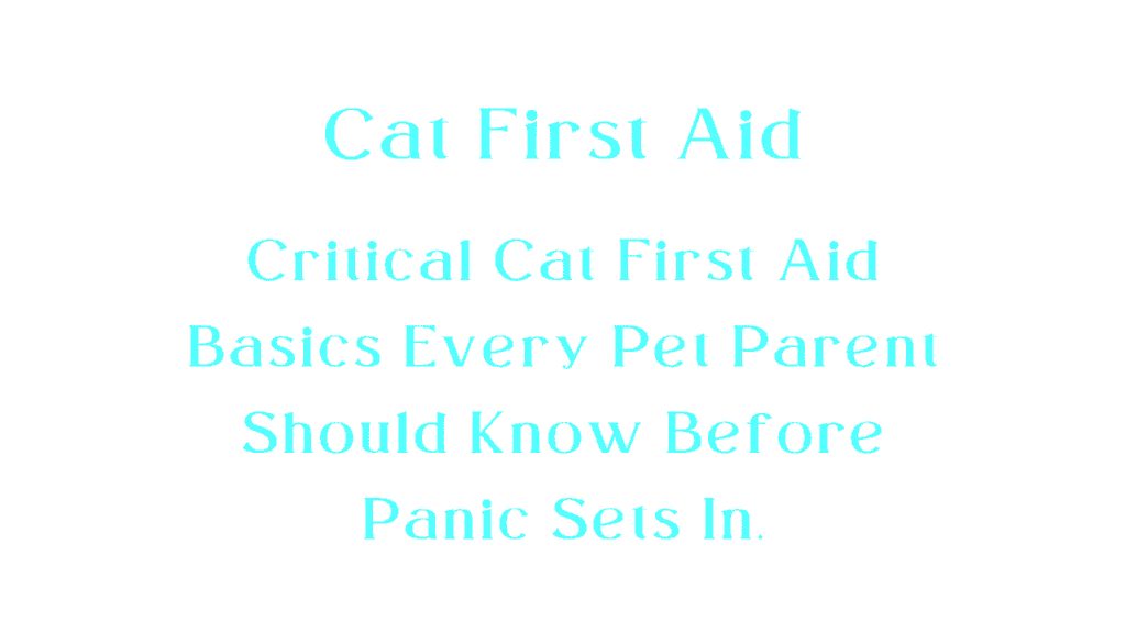 Cat First Aid