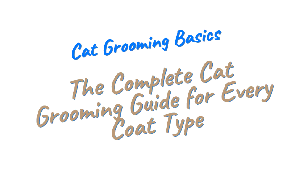 Cat Grooming Basics: A Complete Guide for Every Coat Type 1 Cat Grooming Basics
