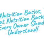 Cat Nutrition Basics