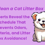Clean a Cat Litter Box