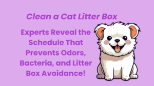Clean a Cat Litter Box