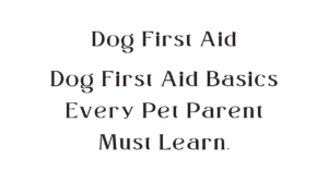 Dog First Aid