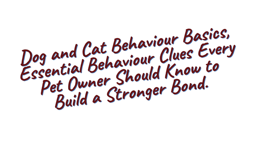 Dog and Cat Behaviour Basics