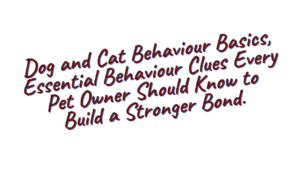 Dog and Cat Behaviour Basics