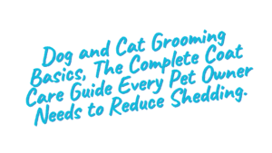 Dog and Cat Grooming Basics