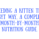 Feed a Kitten by Age