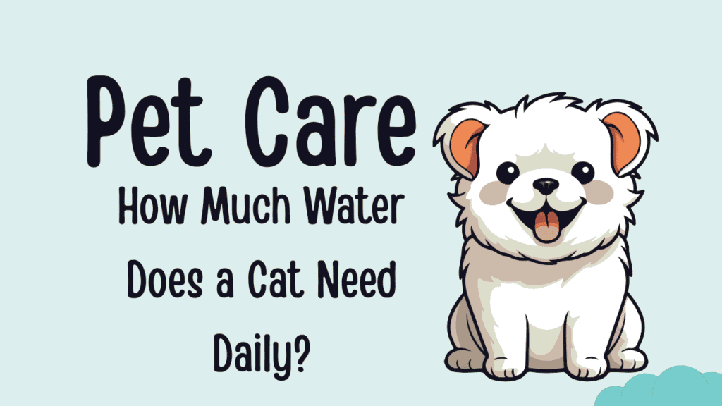 How Much Water Does a Cat Need Daily