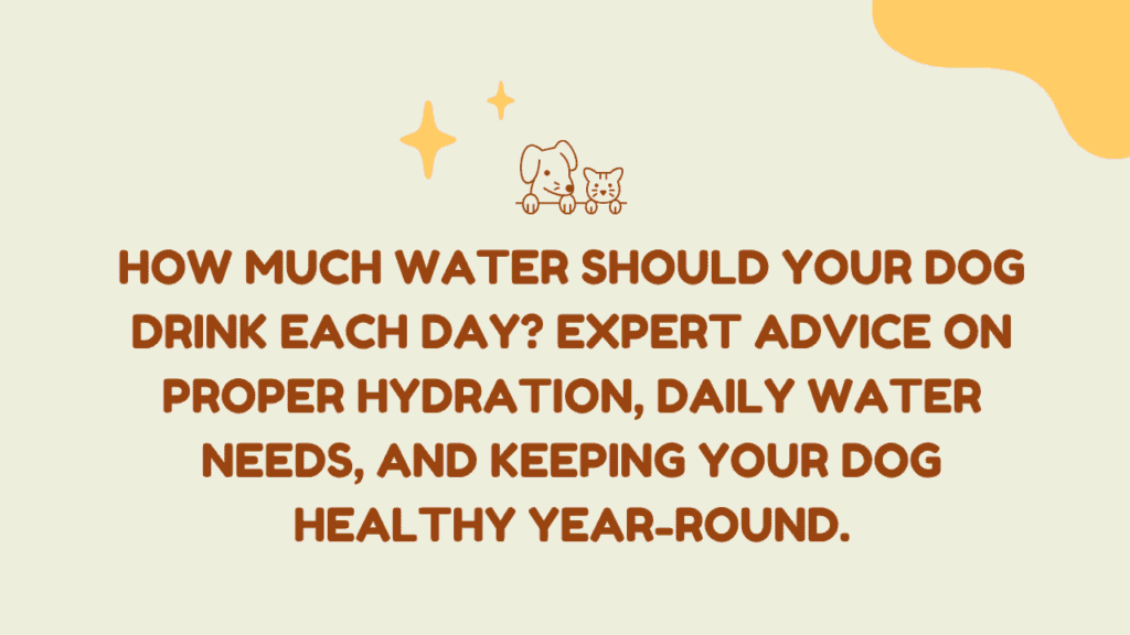 How Much Water Should a Dog Drink Daily? 1 How Much Water Should a Dog Drink