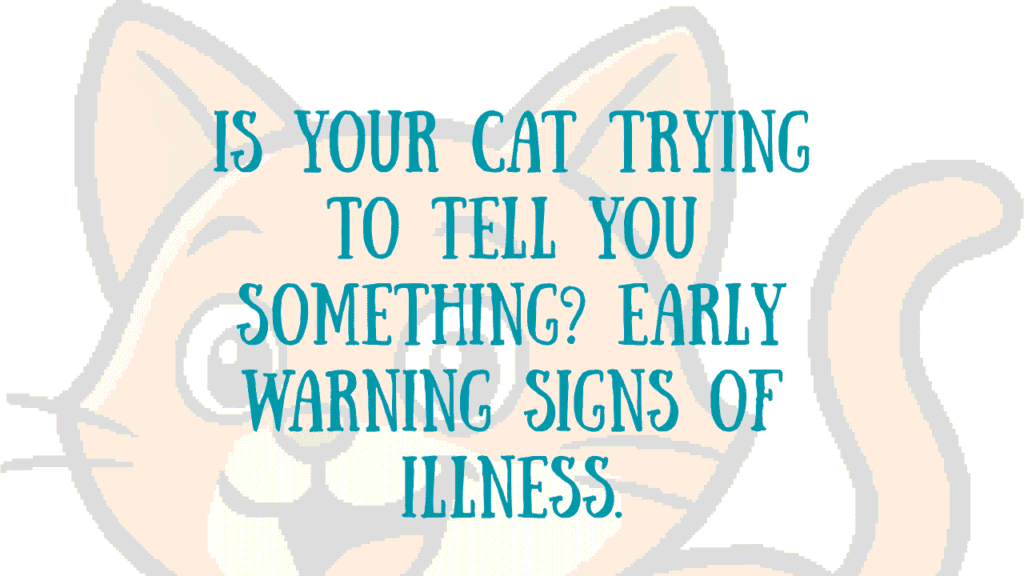 Illness in Cats