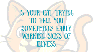 Illness in Cats