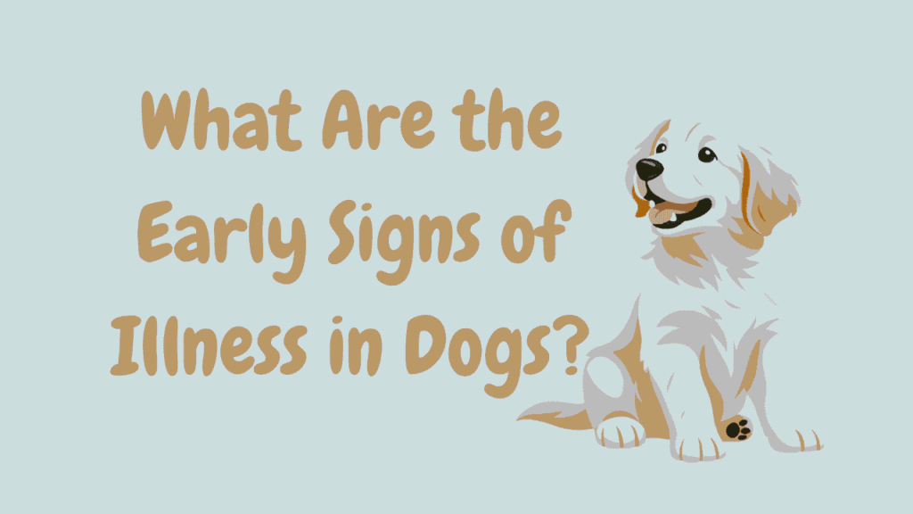 Illness in Dogs