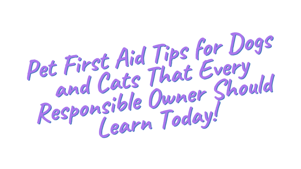 Pet First Aid Tips for Dogs and Cats